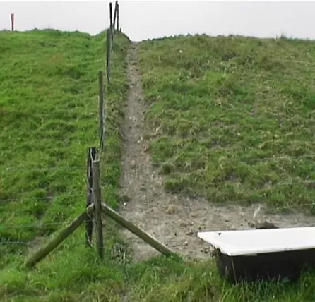 Verticale verplaatsing door uitgelopen vertrapping